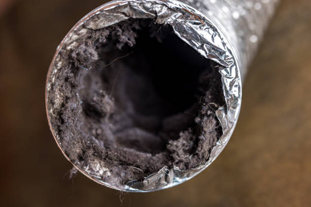 Best Local Air Duct Cleaning Services  in Clifton, IL