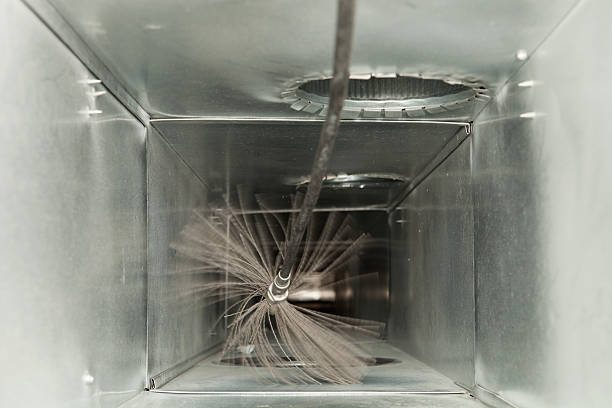 Best Dryer Vent Cleaning Services  in Clifton, IL